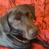 Photo 2: Monty