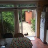 Photo 5: shared kitchen with view to garden and access to park