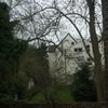 Photo 7: Back of house