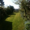 Photo 3: My back garden