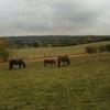 Photo 4: Views from my back garden