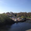 Photo 2: View to the park from our balcony