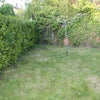 Photo 3: Garden