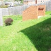 Photo 3: MASSIVE GARDEN