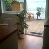 Photo 3: Kitchen with access to the garden