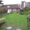 Photo 3: Garden