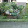 Photo 5: Your own garden.