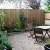 Photo 2: Garden