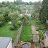 Photo 3: Garden