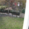 Photo 4: Garden from bedroom window