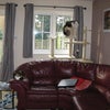 Photo 5: Lounge