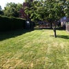 Photo 5: Garden