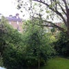Photo 4: From the Balcony