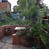 Photo 3: Garden