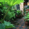 Photo 5: tranquility-a space to unwind
