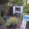 Photo 5: Garden