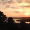 Photo 4: View from bedroom window