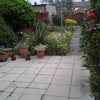 Photo 3: garden