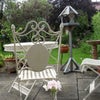 Photo 5: My sunny garden