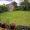 Photo 3: Garden