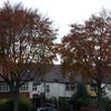 Photo 8: The view from the driveway