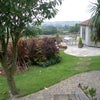 Photo 3: Garden with summer house