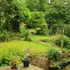 Photo 5: The back garden