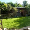 Photo 6: Garden