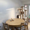Photo 6: Dining area