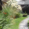 Photo 5: Garden