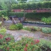 Photo 4: Garden with koi pond