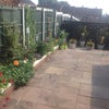 Photo 2: Patio With Various out Buldings with Utility