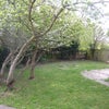 Photo 4: Garden