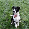 Photograph of Maggie/David 