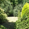 Photo 5: Big Garden
