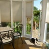 Photo 2: conservatory and garden