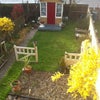 Photo 3: nice garden