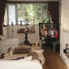 Photo 4: Front Room