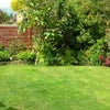 Photo 4: garden