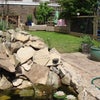 Photo 3: Garden