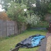 Photo 6: Large garden