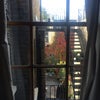 Photo 3: View From Room
