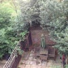 Photo 3: View of garden and park
