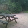 Photo 5: The garden 2