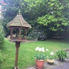 Photo 5: view from the kitchen window