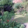 Photo 4: Garden