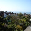 Photo 4: View from the window