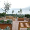 Photo 9: Roof Terrace