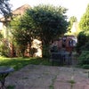Photo 3: Part of gardens