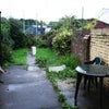 Photo 3: garden